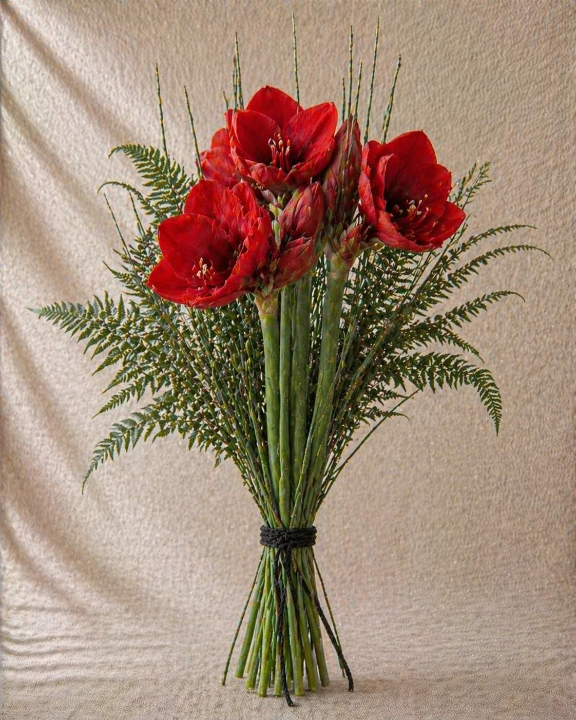 Amaryllis