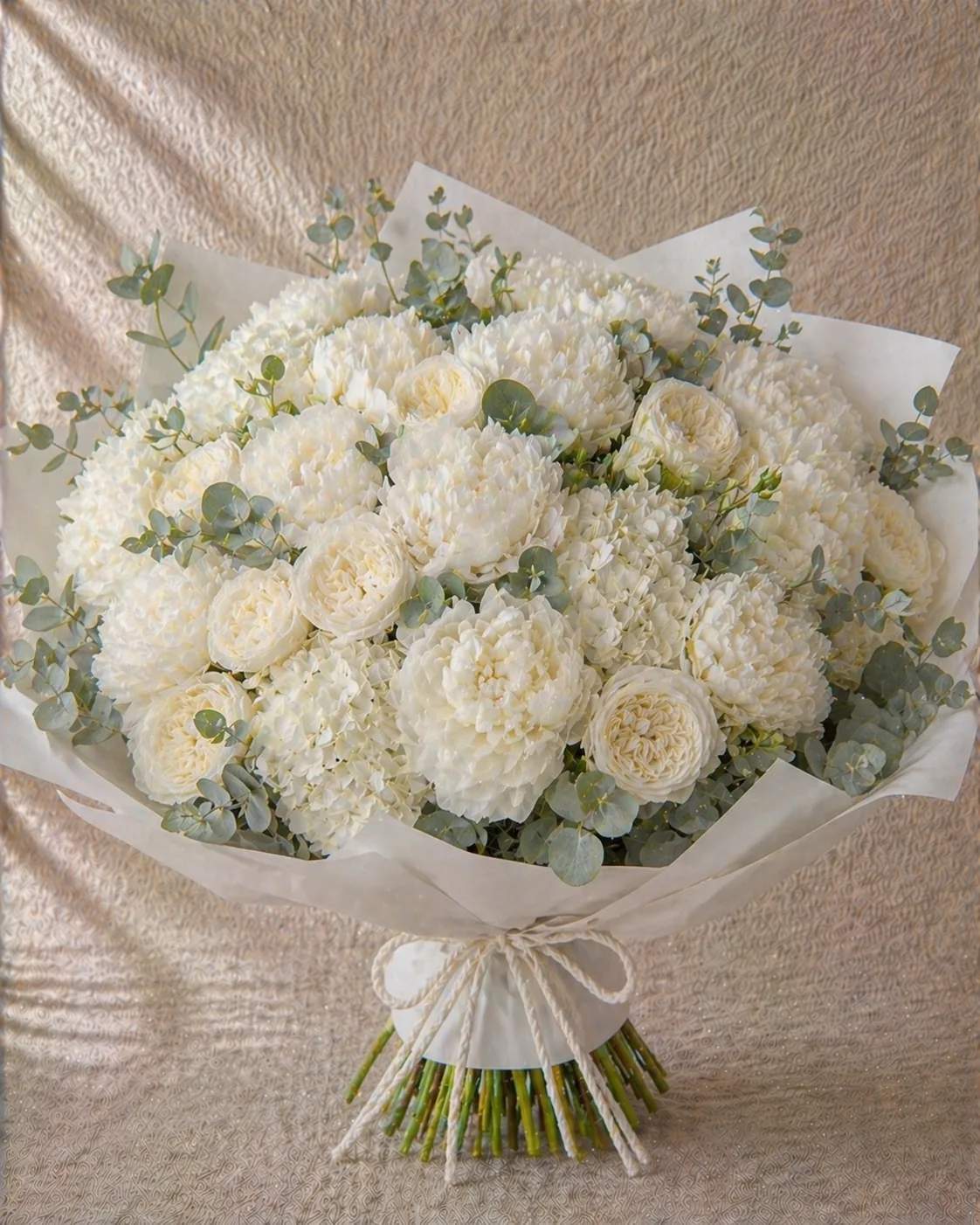 Blanche XL